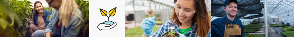 K12 High School Agriculture Program & Curriculum - Stride picture 1 agriculture banner image
