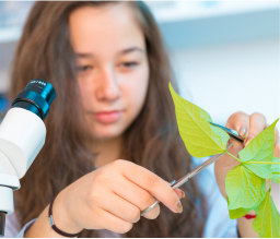 K12 Agricultural Technology High School Program - Stride picture 3 K12 1626254566474 image