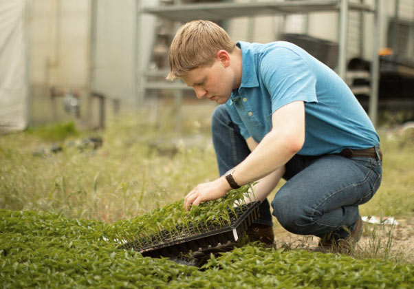 K12 High School Agriculture Program & Curriculum - Stride picture 2 K12 1649797036565 1 image