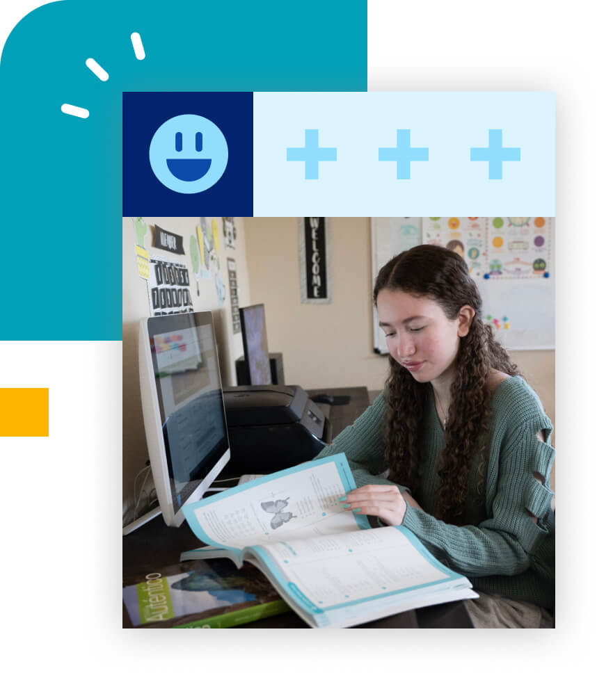 K12 Online AP® and Honors Courses - AP® Classes Online picture 10 K12 1681248522402 image
