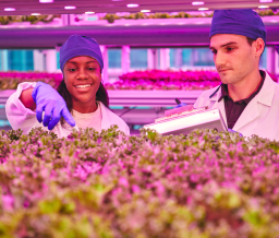 K12 Online High School Agribusiness Program - Stride Career Prep picture 2 K12 1626257779372 image
