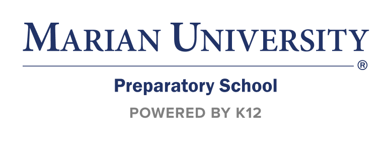 K12 Online Private Schools - Online Private Education picture 7 K12 1678213547054 image