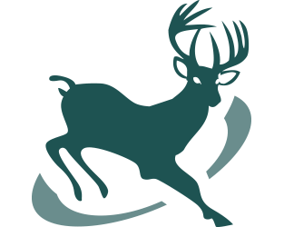 K12 Tuition-Free Online Public Schools in Michigan picture 3 Michigan Virtual Charter Academy logo