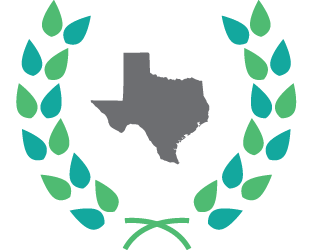 K12 Tuition-Free Online Public Schools in Texas picture 8 Texas Online Preparatory School logo