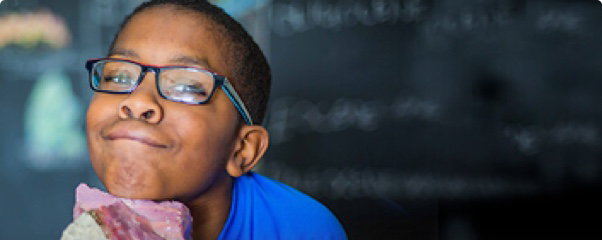 K12 Tuition-Free Online Public Schools in South Carolina picture 2 K12 grade k5 image